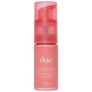 NWT dae Fairy Duster Volumizing Dry Shampoo Powder